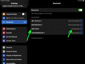 Screenshot of the iPadOS -Bluetooth Settings- page, showing the Sony SRS XB13 as Connected..