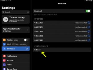 Screenshot of the iPadOS -Bluetooth Settings- page, showing the Sony SRS X11 speaker as -Discovered- but not -Connected-.