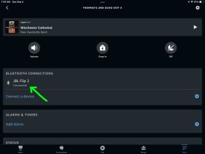 Screenshot of the JBL Flip 2 speaker connected to an Echo Dot 4 on the Device Settings page in the Alexa App on iPadOS.