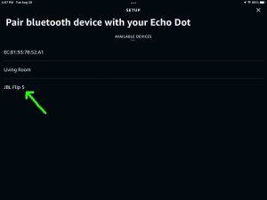Screenshot of the Pair Bluetooth Device page, showing the JBL Flip 5 speaker as discovered, in the Alexa app on iPadOS.
