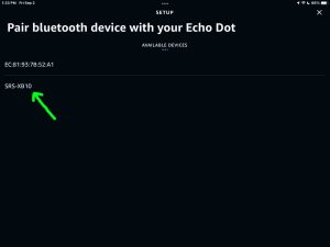 Screenshot of a Sony XB10 discovered on Setup Page in Alexa App on iPadOS.