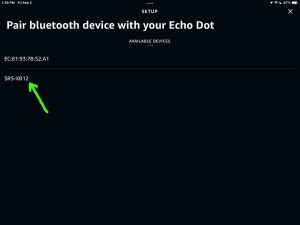 Screenshot of a Sony SRS XB12 speaker discovered on the Setup page in the Alexa App on iPadOS.