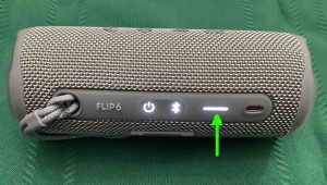 Picture of the battery gauge, showing that the speaker is fully charged.