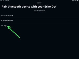 Screenshot of the JBL Flip 3 speaker showing as discovered on Echo speaker Bluetooth Setup page in the Alexa App on iPadOS.