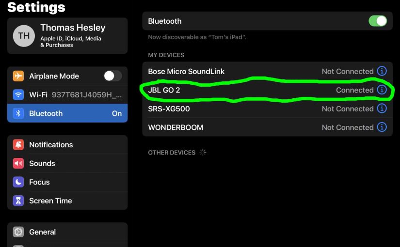Picture of the iPadOS Bluetooth Settings screen, showing the JBL Go 2 speaker as connected.