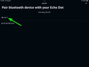 Screenshot of the JBL Go 3 speaker showing as discovered on Echo speaker Bluetooth Setup page in the Alexa App on iPadOS.