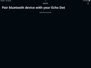 Screenshot of the Pair Bluetooth Device Setup page on the Alexa app on iPadOS 2022. 