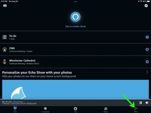 Screenshot of the More option on the Alexa App Home screen on iPadOS.