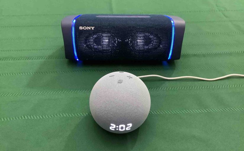 Sony SRS XB33 Watts