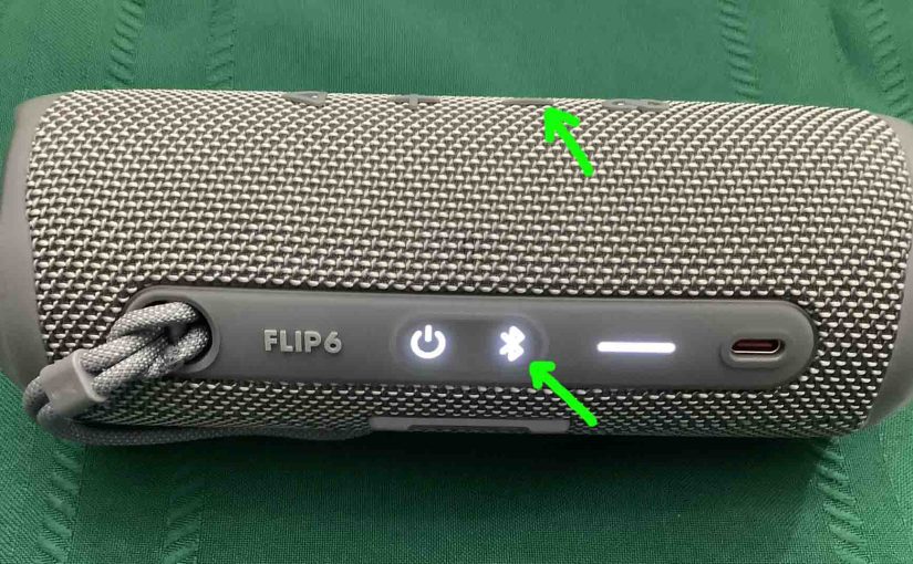 Picture of the Pairing and Volume Down buttons on the JBL Flip 6 speaker.