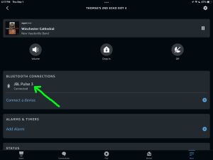 Screenshot of the JBL Pulse 3 speaker connected to an Echo Dot 4 on the Device Settings page in the Alexa app on iPadOS.