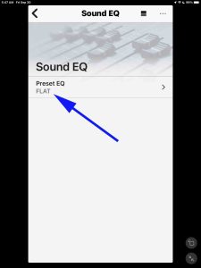 Screenshot of the Preset EQ item set to FLAT on the Sony XB20 Sound EQ page.