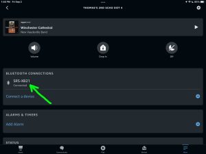 Screenshot of the Sony SRS XB21 speaker connected to an Echo Dot 4 on the Device Settings page in the Alexa App on iPadOS.
