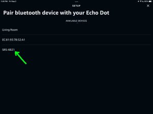 Screenshot of a Sony SRS XB21 speaker discovered on the Setup page in the Alexa App on iPadOS.