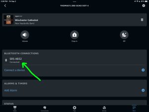 Screenshot of the Sony SRS XB32 speaker connected to an Echo Dot 4 on the Device Settings page in the Alexa App on iPadOS.