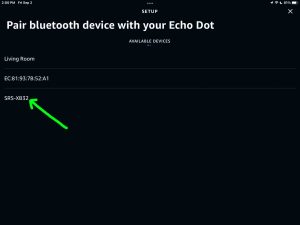 Screenshot of a Sony SRS XB32 speaker discovered on the Setup page in the Alexa App on iPadOS.