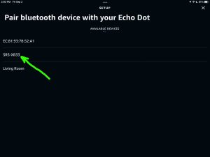 Screenshot of a Sony SRS XB33 speaker discovered on the Setup page in the Alexa App on iPadOS.