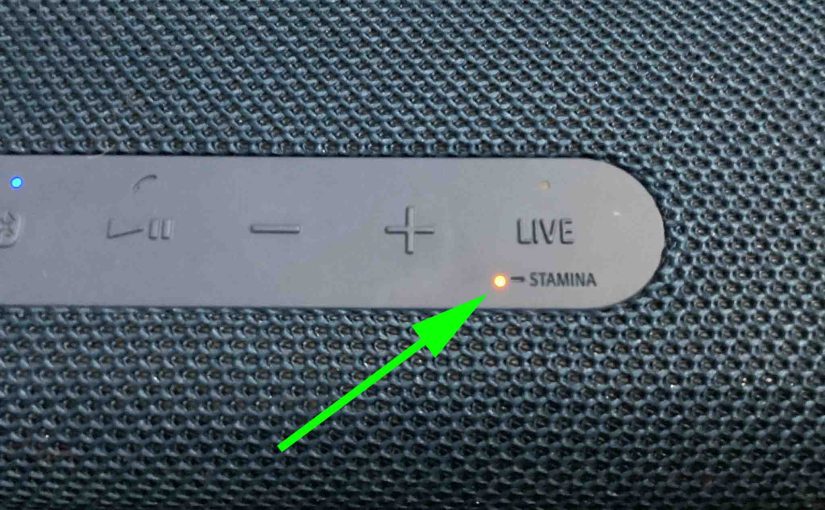 What Is Stamina Mode on Sony Speaker