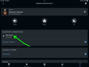 Screenshot of the Sony SRS XB41 speaker connected to an Echo Dot 4 on the Device Settings page in the Alexa App on iPadOS.