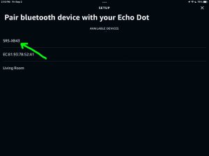 Screenshot of a Sony SRS XB43 speaker discovered on the Setup page in the Alexa App on iPadOS.