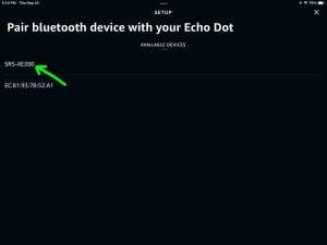 Screenshot of a Sony SRS XE200 speaker discovered on the Setup page in the Alexa App on iPadOS.