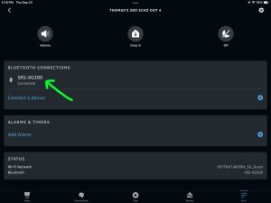 Screenshot of the Sony SRS XG300 boombox BT speaker connected to an Echo Dot 4 on the Device Settings page in the Alexa App on iPadOS.