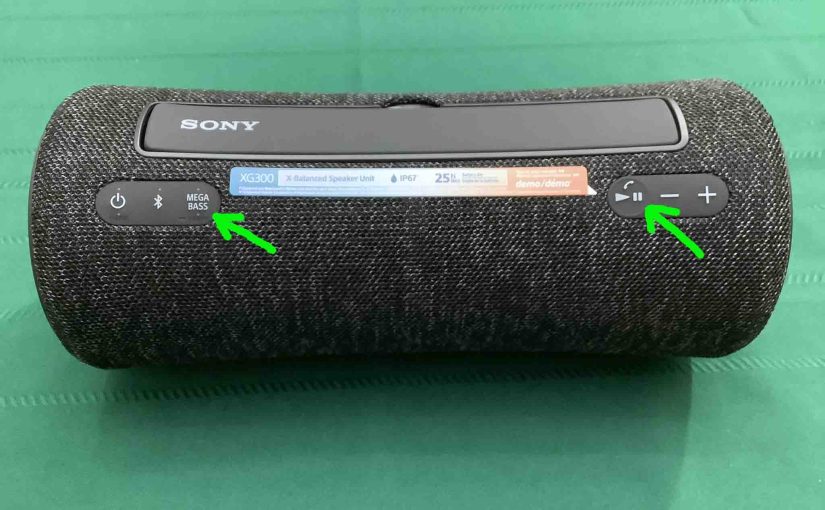 Picture of the Mega Bass and Play Pause buttons on the Sony SRS XG300 speaker.