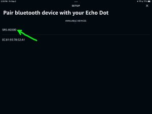 Screenshot of a Sony boombox SRS XG500 speaker discovered on the Setup page in the Alexa App on iPadOS.