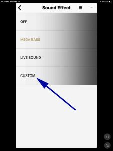 Screenshot of The Custom option on the Sound Effects page.
