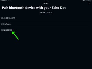 Picture of the UE Megaboom 3 speaker showing as discovered on Echo speaker Bluetooth Setup page in the Alexa App on iPadOS.