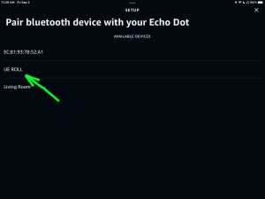 Screenshot of a UE Roll speaker discovered on the Setup page in the Alexa App on iPadOS.