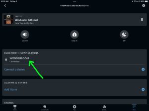 Screenshot of the Wonderboom speaker connected to Echo Dot 4 in the Alexa app on iPadOS.