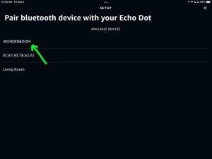 Screenshot of the Wonderboom speaker discovered on Setup page in Alexa app on iPadOS.