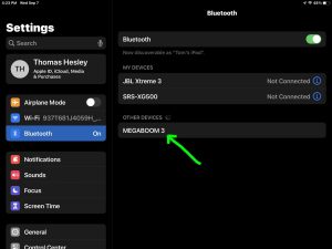 Screenshot of the iPadOS Bluetooth Settings page, showing the Megaboom 3 speaker as discovered.