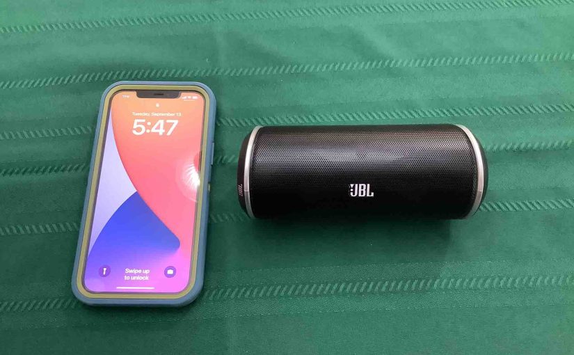 Picture of an iPhone beside the JBL Flip speaker.
