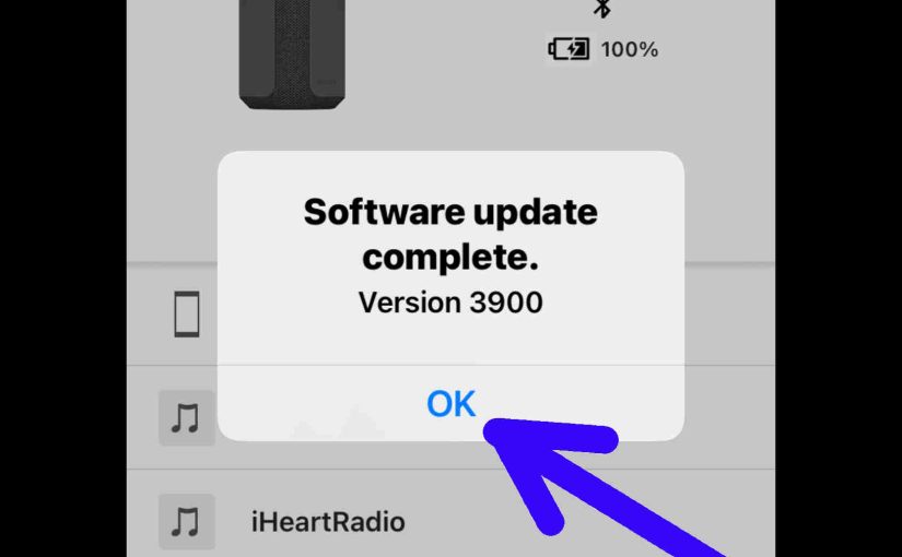 Screenshot of the Sony Music Center app on iPadOS, displaying the Software Version 3900 Update Complete screen, with the OK button highlighted.