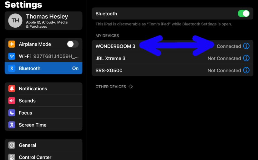 Screenshot of the iPadOS Bluetooth Settings page, showing the Wonderboom 3 as connected.