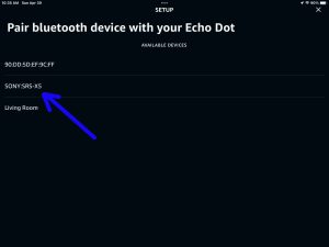 Screenshot of a Sony SRS X5 speaker discovered on the Setup page in the Alexa App on iPadOS.