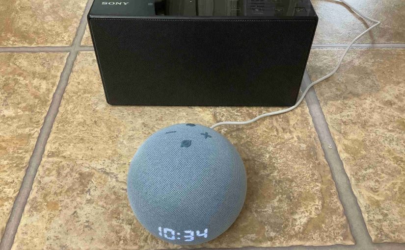 Picture of the Sony SRS X5 with an Echo Dot 4 speaker.