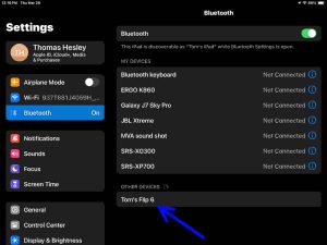 Screenshot of the iPadOS -Bluetooth Settings- page. Showing the renamed JBL Flip 6 in the -Other Devices- section.