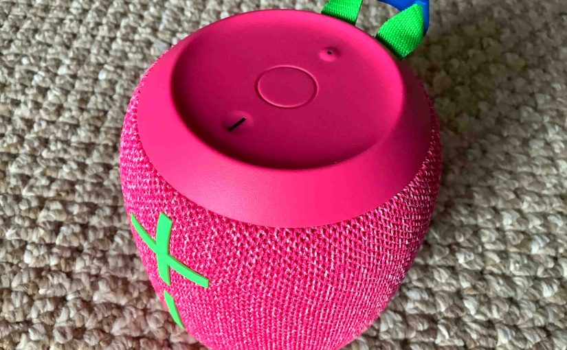 Ultimate Ears Wonderboom 3 Won’t Turn OFF